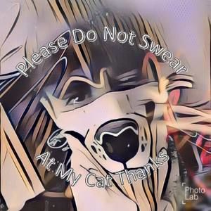 Meet your Posher, Jay